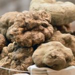 Truffle gastronomic delicacy – San Miniato Truffle Festival